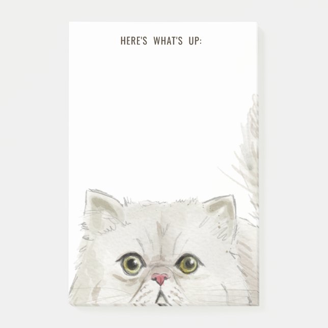 Weiße Perserkatze | Hier ist, was oben ist oder Ih Post-it Klebezettel (Vorderseite)