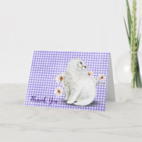 Weiße Perserkatze und Daisy