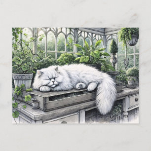 Weiße persische Katze in einem sonnenbeleuchteten Postkarte