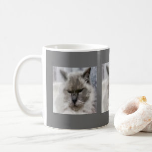 Weiße persische Katze in Wasserfarbe Tasse