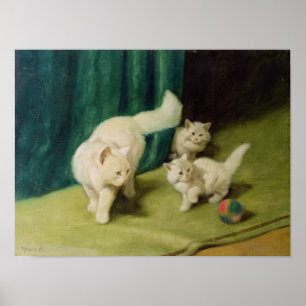 Weiße persische Katze mit zwei Kätzchen Poster