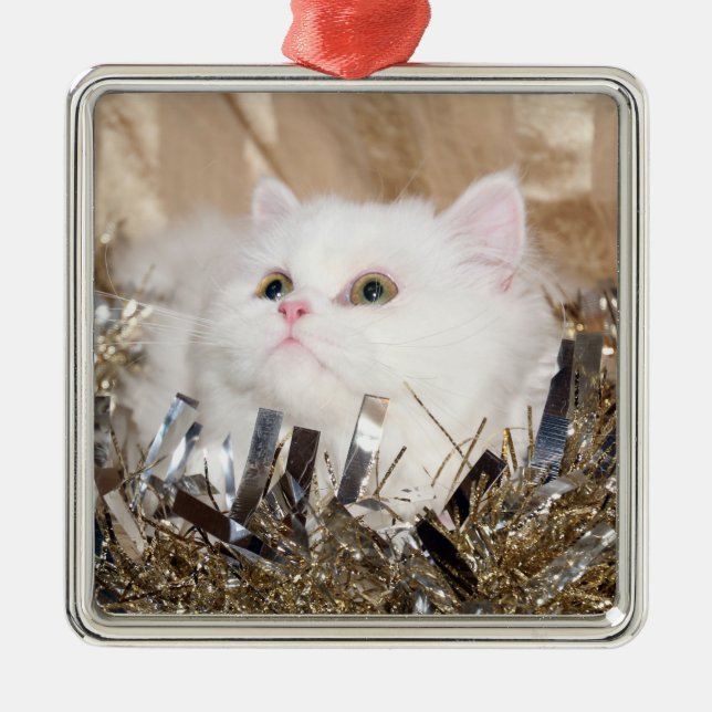 Weiße persische Katze Weihnachten Silbernes Ornament (Vorne)