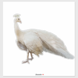 Weiße Pfau Aufkleber