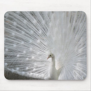 Weiße Pfau-Mausunterlage Mousepad