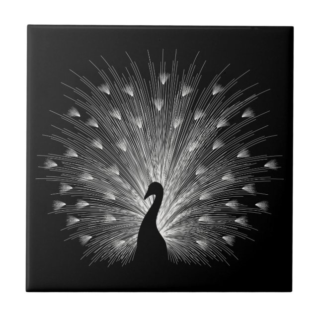 Weiße Pfaue Fliese (Vorderseite)