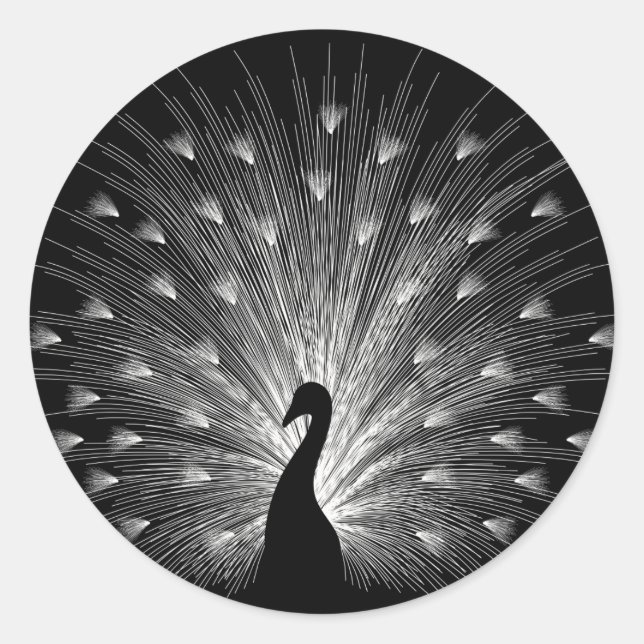 Weiße Pfaue Runder Aufkleber (Vorderseite)