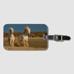 Weiße Pferde, die auf Strand Camargue, Gepäckanhänger