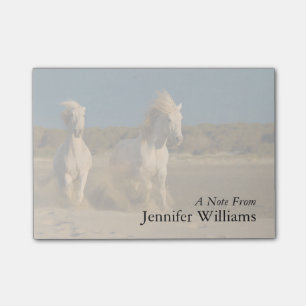 Weiße Pferde, die auf Strand   Camargue, Post-it Klebezettel