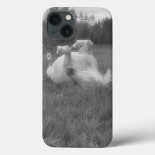 Weiße Pferderollen im B&W-Foto im Gras auf der BC iPhone 13 Hülle