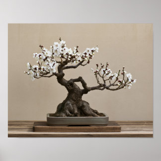 Weiße Pflaumen-Bonsai-Kunst | Japanische Wandkunst Poster