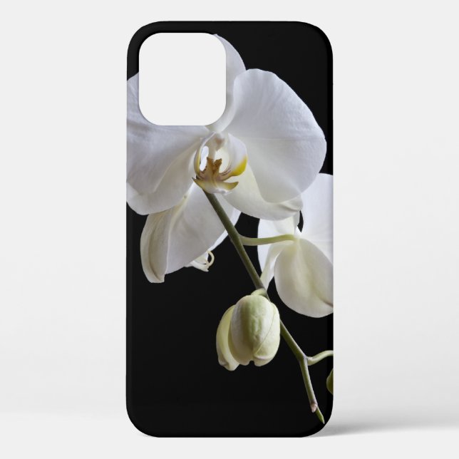 Weiße Phalaenopsis Orchid auf schwarz Case-Mate iPhone Hülle (Rückseite)
