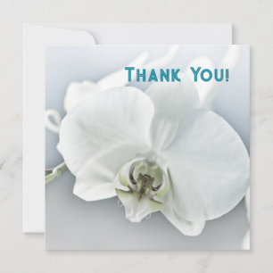 Weiße Phalaenopsis-Orchidee Dankeskarte
