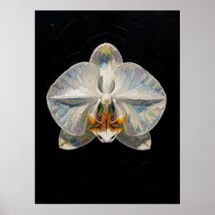 Weiße Phalaenopsis-Orchidee Fine Art Druck, Dunkel Poster