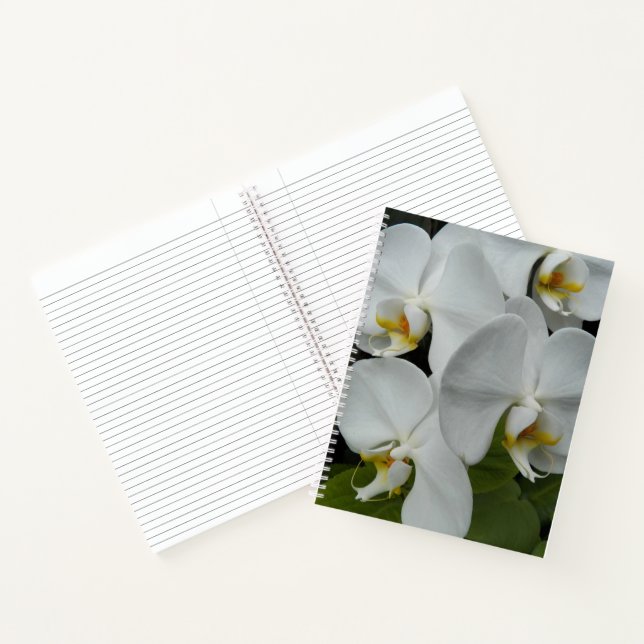 Weiße Phalaenopsis-Orchideen Blumen Notizbuch (Innenseite)