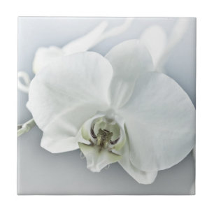 Weiße Phaleonopsis Orchid Fliese