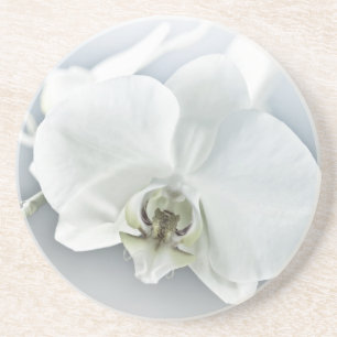 Weiße Phaleonopsis Orchid Getränkeuntersetzer