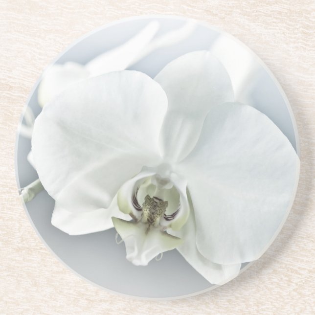 Weiße Phaleonopsis Orchid Getränkeuntersetzer (Vorne)