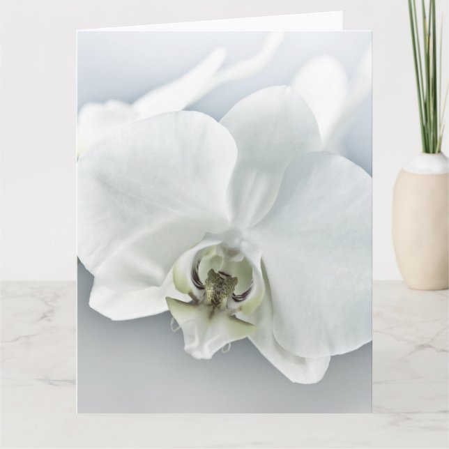 Weiße Phaleonopsis Orchid Karte (Vorderseite)