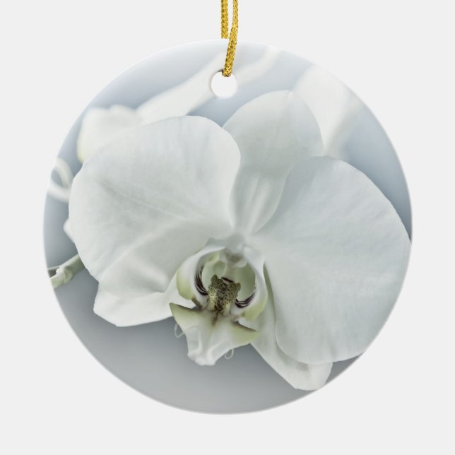 Weiße Phaleonopsis Orchid Keramik Ornament (Vorne)