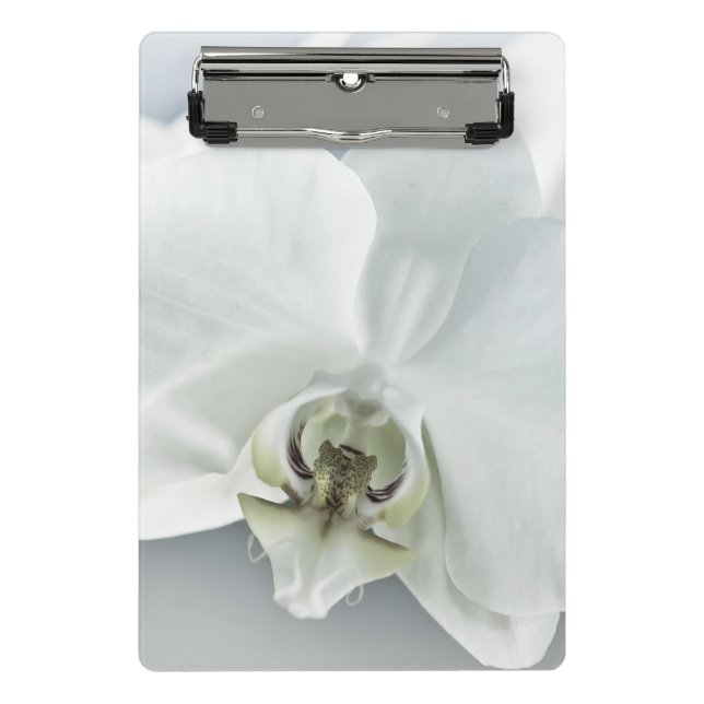 Weiße Phaleonopsis Orchid Mini Klemmbrett (Vorderseite)