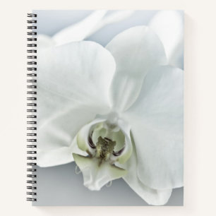 Weiße Phaleonopsis Orchid Notizbuch