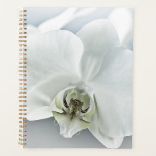Weiße Phaleonopsis Orchid Planer
