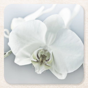 Weiße Phaleonopsis Orchid Rechteckiger Pappuntersetzer