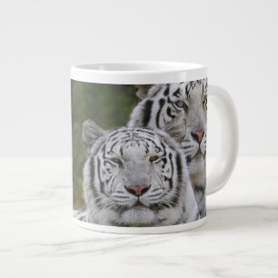 Weiße Phase, Bengal Tiger, Tigris Jumbo-Tasse