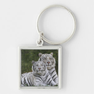 Weiße Phase, Bengal Tiger, Tigris Schlüsselanhänger