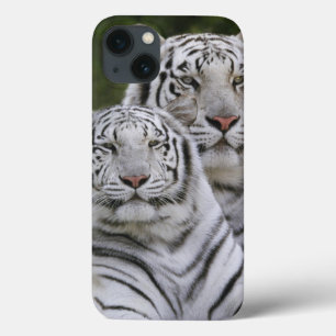Weiße Phase, bengalischer Tiger, der Tigris Case-Mate iPhone Hülle