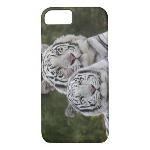 Weiße Phase, Bengalischer Tiger, Tigris Case-Mate iPhone Hülle