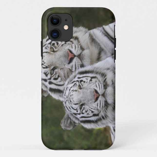 Weiße Phase, Bengalischer Tiger, Tigris Case-Mate iPhone Hülle (Rückseite)