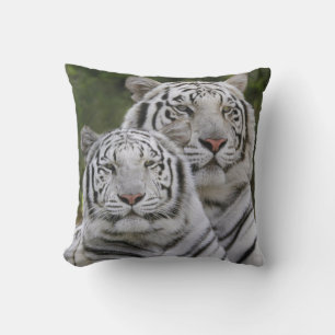 Weiße Phase, Bengalischer Tiger, Tigris Kissen