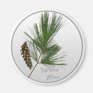 Weiße Pine Tree Magnet