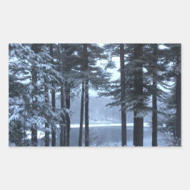 Weiße Pines in blauem Licht — Rechteckiger Aufkleber