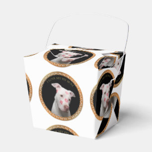 Weiße Pitbulle mit roten Küssen über sein Gesicht. Geschenkschachtel