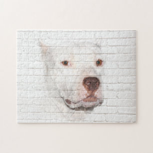 Weiße Pitbulle Terrier Puzzle