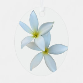 Weiße Plumeria Bloom Metal Ornament