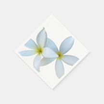 Weiße Plumeria Blooms
