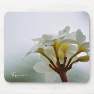 Weiße Plumeria-Blüten Kauai (von mir aufgenommen) Mousepad
