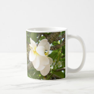 Weiße Plumeria Cofee Tasse