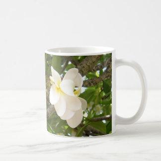Weiße Plumeria Cofee Tasse