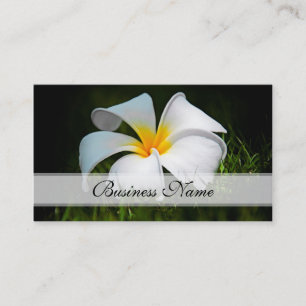 Weiße Plumeria Frangipani Hawaii Blumen Visitenkarte