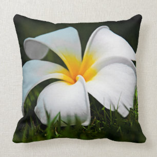 Weiße Plumeriafrangipani-Hawaii-Blume Kissen