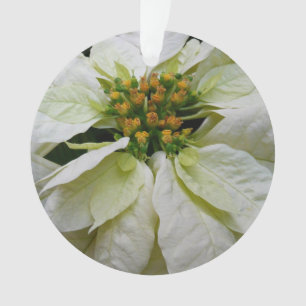 Weiße Poinsettia Elegante Weihnachtsfeier Floral Ornament