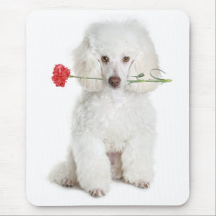 Weiße Poodle Welpe Hund Blume Mousepad