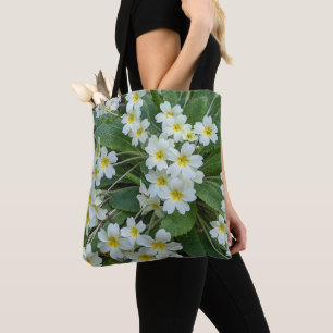 Weiße Primrosen