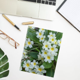 Weiße Primrosen mit gelben Zentren, blorfarbig Planer
