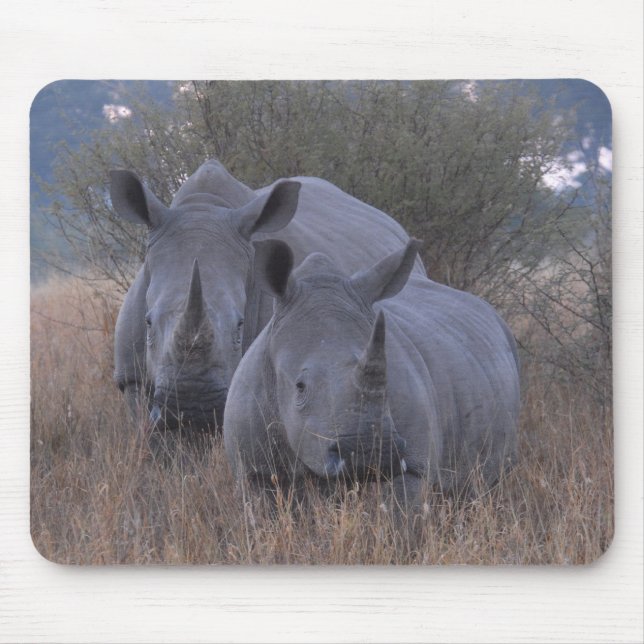 Weiße Rhinos Mousepad (Vorne)