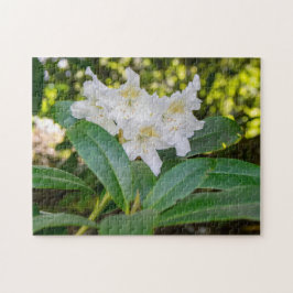 Weiße Rhododendronblüten, Allan Park, Norland Puzzle
